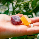 What Are The Benefits Of CBD Gummies