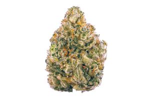THCA Flower Near Me A Legal and Natural Health Boost
