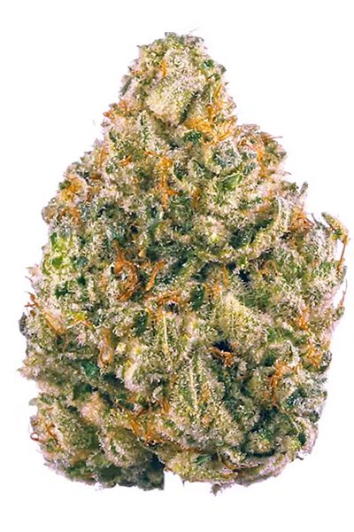 THCA Flower Near Me A Legal and Natural Health Boost