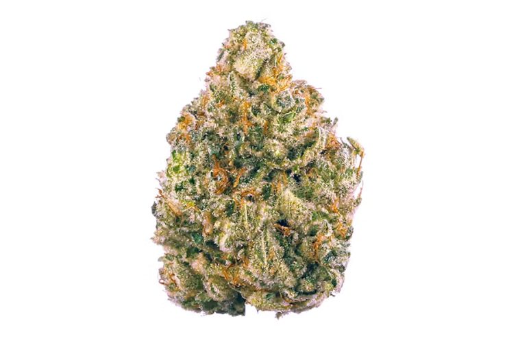 THCA Flower Near Me A Legal and Natural Health Boost