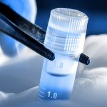 Stem Cell Banking in India StemCellCures Role in Future Healthcare Security
