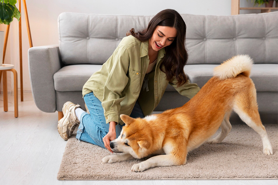 Owning a Pet for Emotional Support Get Your ESA Letter